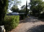 Camping - Laurens - Languedoc-Roussillon - L'Oliveraie