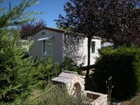 Camping - Laurens - Languedoc-Roussillon - L'Oliveraie