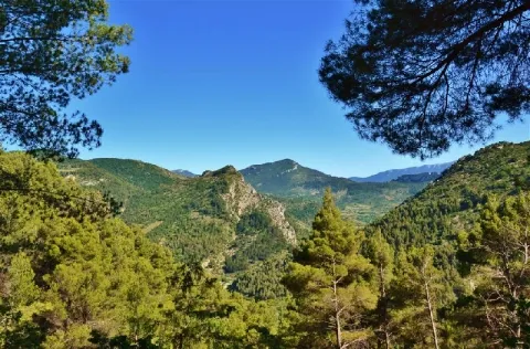 Camping - Buis-les-Baronnies - Rhône-Alpes - L'Orée de Provence