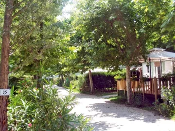 Camping - Carpentras - Provence-Alpes-Côte d'Azur - Lou Comtadou