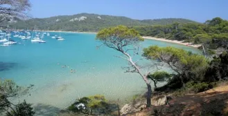 Camping - Le Pradet - Provence-Alpes-Côte d'Azur - Lou Pantaï