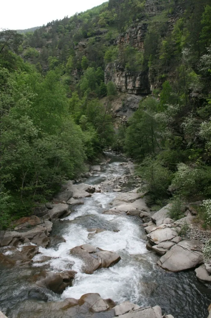 Camping - Le Vernet - Provence-Alpes-Côte d'Azur - Lou Passavous