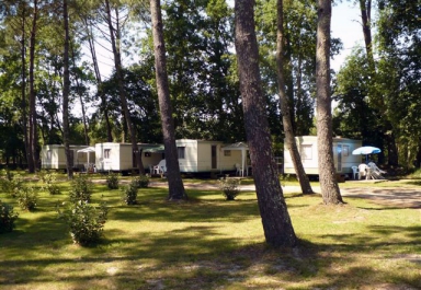Camping - Lesperon - Aquitaine - Lou Payou - Image #9