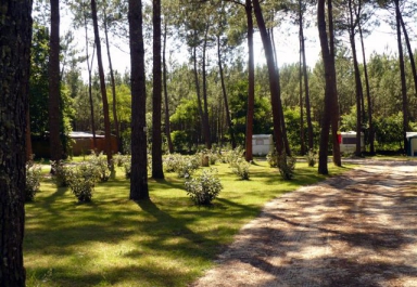 Camping - Lesperon - Aquitaine - Lou Payou - Image #10