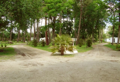 Camping - Lesperon - Aquitaine - Lou Payou - Image #11