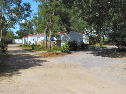 Camping - Lesperon - Aquitaine - Lou Payou - Image #15