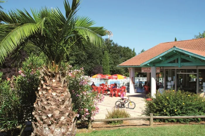 Camping - Saint-Martin-de-Seignanx - Aquitaine - Lou P'tit Poun