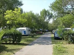 Camping - Vallabrègues - Languedoc-Roussillon - Lou Vincen