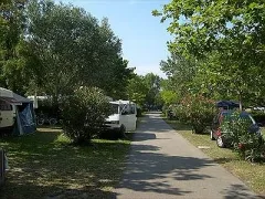 Camping - Vallabrègues - Languedoc-Roussillon - Lou Vincen