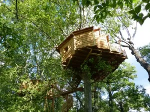 Camping - Rochegude - Languedoc-Roussillon - L'Universal