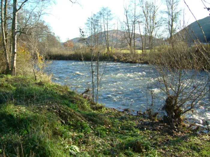 Camping - Massiac - Auvergne - l’Alagnon