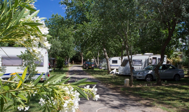 Camping - Canet-en-Roussillon - Languedoc-Roussillon - Ma Prairie - Image #8