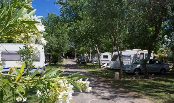 Camping - Canet-en-Roussillon - Languedoc-Roussillon - Ma Prairie