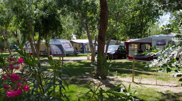 Camping - Canet-en-Roussillon - Languedoc-Roussillon - Ma Prairie - Image #9