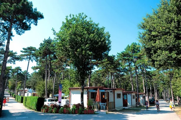 Camping - Sistiana - Frioul-Vénétie Julienne - Mare Pineta