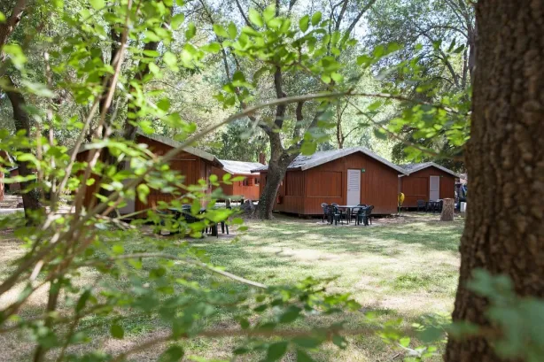 Camping - Cogolin - Provence-Alpes-Côte d'Azur - Marina Paradise