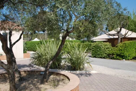 Camping - Martigues - Provence-Alpes-Côte d'Azur - Marius