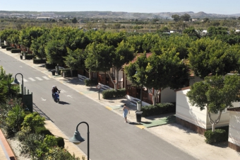 Camping - Guardamar del Segura - Costa Blanca - Marjal Bungalows Resort - Image #4
