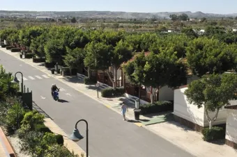 Camping - Guardamar del Segura - Costa Blanca - Marjal Bungalows Resort