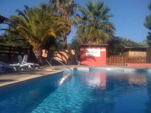 Camping - Laroque-des-Albères - Languedoc-Roussillon - Mas Manyères Tropical