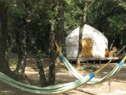 Camping - Labastide-de-Virac - Rhône-Alpes - Mille étoiles