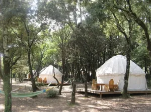 Camping - Labastide-de-Virac - Rhône-Alpes - Mille étoiles