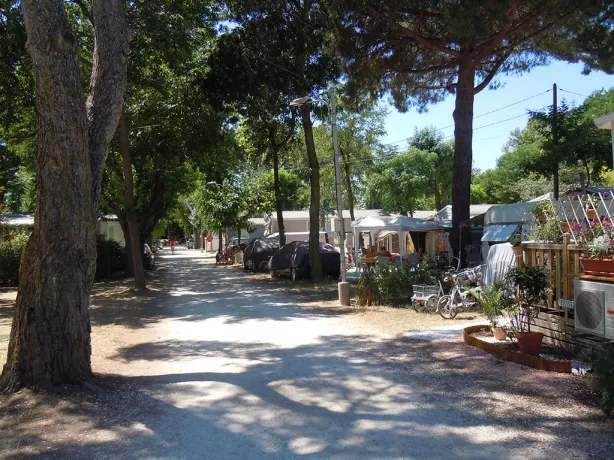 Camping - La Londe-les-Maures - Provence-Alpes-Côte d'Azur - Miramar