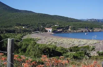 Camping - Calenzana - Corse - Morsetta