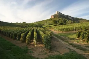 Camping - Saint-Boil - Bourgogne - Moulin de Collonge