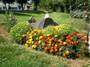 Camping - Saint-Boil - Bourgogne - Moulin de Collonge