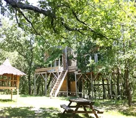 Camping - Barjac - Languedoc-Roussillon - Natura Lodge