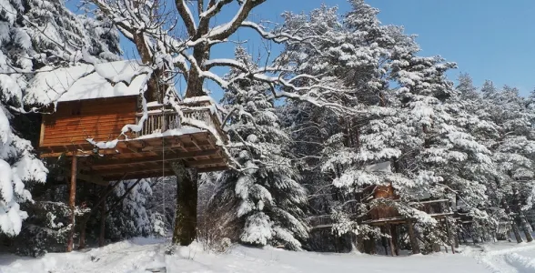 Camping - Champdray - Lorraine - Nids des Vosges