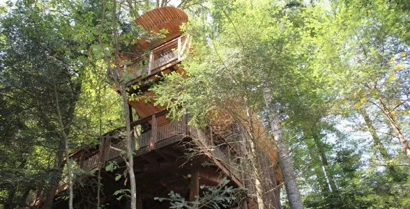 Camping - Champdray - Lorraine - Nids des Vosges