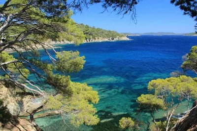 Camping - Hyères - Provence-Alpes-Côte d'Azur - Olbia