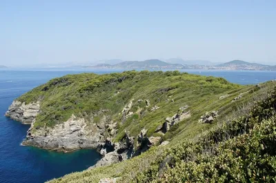 Camping - Hyères - Provence-Alpes-Côte d'Azur - Olbia