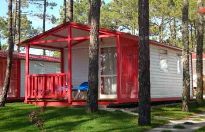 Camping - Aveiro - Centro - Vagueira