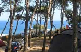 Camping - Palamos - Costa Brava - Palamós