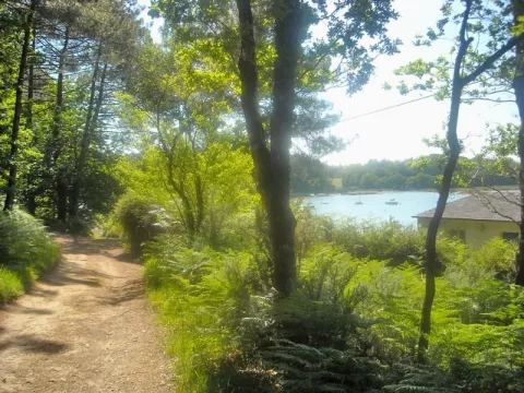 Camping - LE BONO - Bretagne - Parc Lann