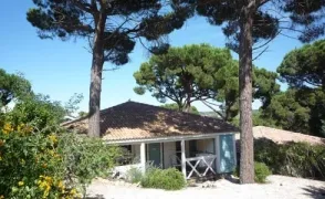 Camping - Gassin - Provence-Alpes-Côte d'Azur - Parc Oasis