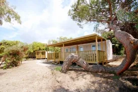 Camping - Anzio - Latium - Parco della Gallinara