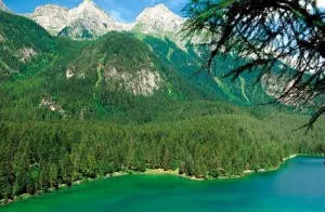 Camping - Sarnonico - Trentin-Haut-Adige - Park Baita Dolomiti