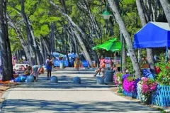 Camping - Biograd - Dalmatie - Park Soline
