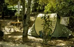 Camping - Porto-Vecchio - Corse - Pitrera Village