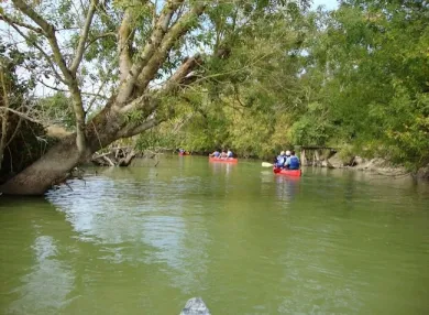 Camping - Saint-Jean-de-Monts - Pays de Loire - Plein Sud