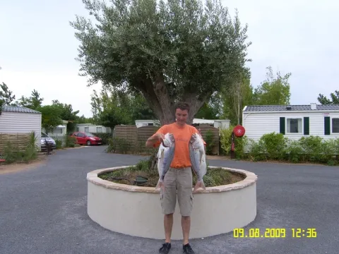 Camping - Vias - Languedoc-Roussillon - Pleine Mer