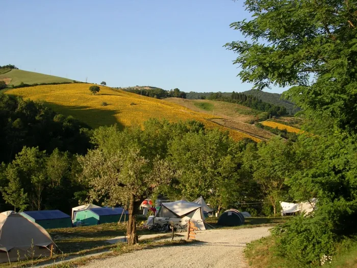 Camping - Senigallia - Marches - Podere Sei Poorte
