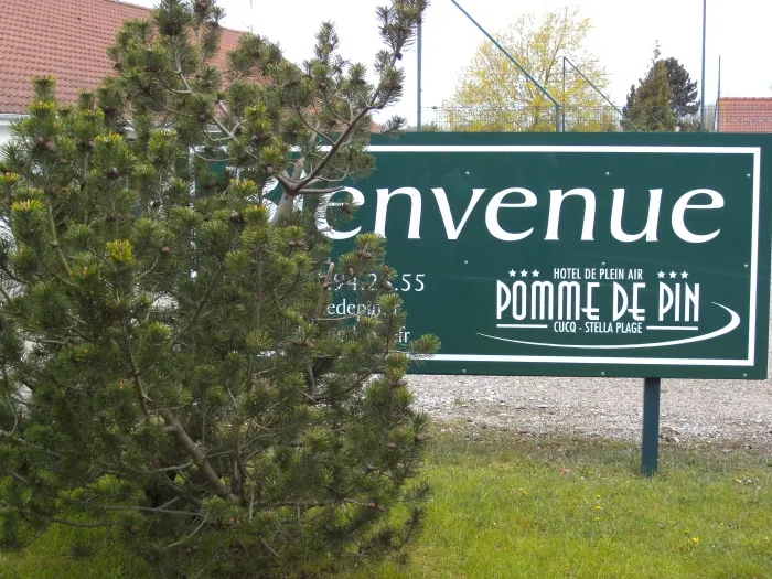 Camping - Cucq - Nord-Pas de Calais - Pomme De Pin