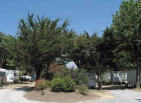 Camping - Châtelaillon-Plage - Poitou-Charentes - Port-Punay