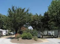 Camping - Châtelaillon-Plage - Poitou-Charentes - Port-Punay
