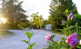 Camping - Saint-Pierre-Lafeuille - Midi-Pyrénées - Quercy Vacances